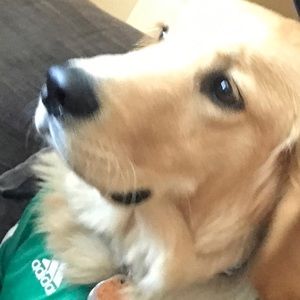 Meet your Posher, Alejandro